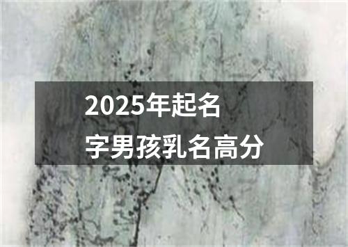 2025年起名字男孩乳名高分