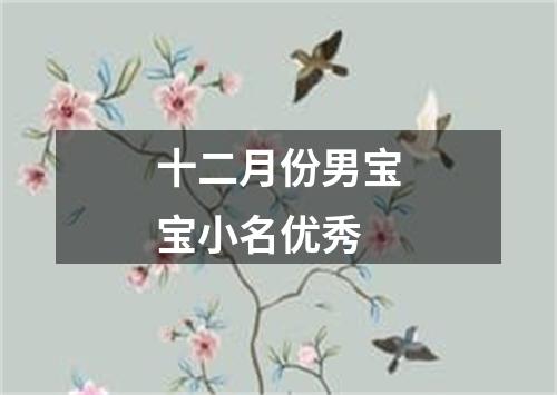 十二月份男宝宝小名优秀