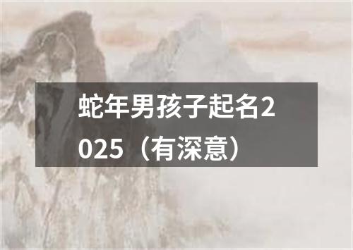 蛇年男孩子起名2025（有深意）