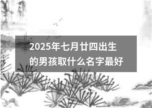 2025年七月廿四出生的男孩取什么名字最好