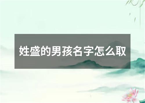 姓盛的男孩名字怎么取