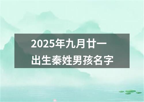 2025年九月廿一出生秦姓男孩名字