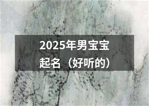 2025年男宝宝起名（好听的）