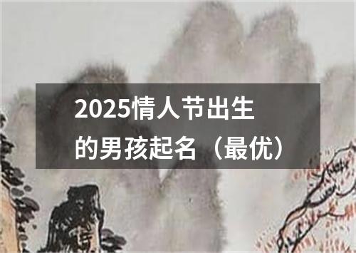 2025情人节出生的男孩起名（最优）