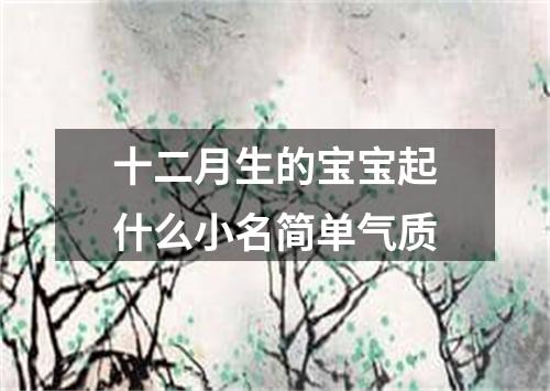 十二月生的宝宝起什么小名简单气质