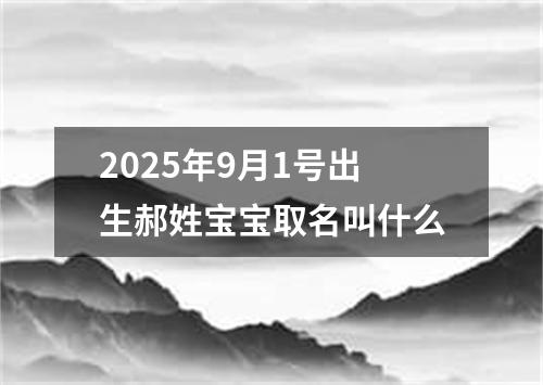2025年9月1号出生郝姓宝宝取名叫什么