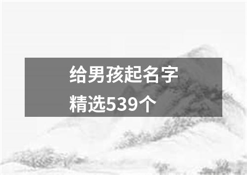 给男孩起名字精选539个