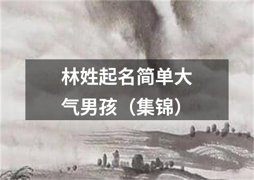 林姓起名简单大气男孩（集锦）
