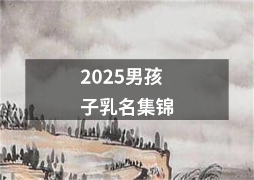 2025男孩子乳名集锦