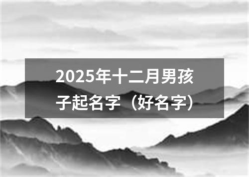 2025年十二月男孩子起名字（好名字）