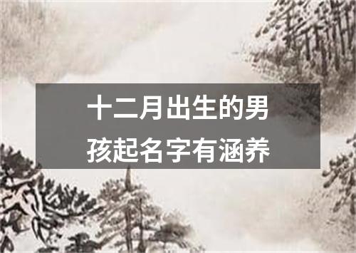 十二月出生的男孩起名字有涵养