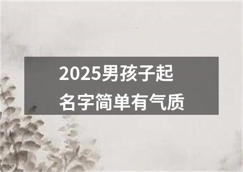 2025男孩子起名字简单有气质