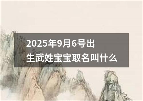 2025年9月6号出生武姓宝宝取名叫什么
