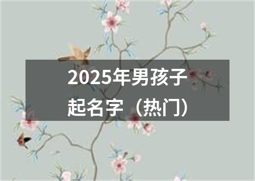 2025年男孩子起名字（热门）