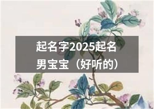 起名字2025起名男宝宝（好听的）