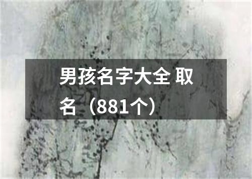 男孩名字大全 取名（881个）