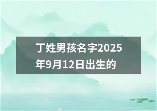 丁姓男孩名字2025年9月12日出生的