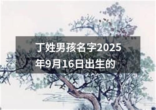 丁姓男孩名字2025年9月16日出生的