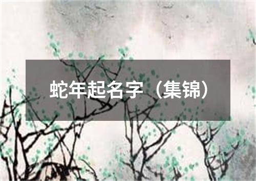 蛇年起名字（集锦）