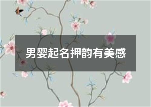 男婴起名押韵有美感
