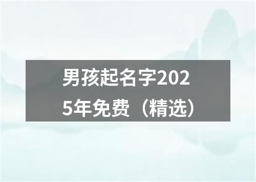 男孩起名字2025年免费（精选）