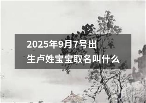 2025年9月7号出生卢姓宝宝取名叫什么