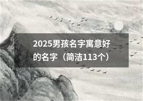 2025男孩名字寓意好的名字（简洁113个）