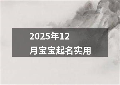 2025年12月宝宝起名实用