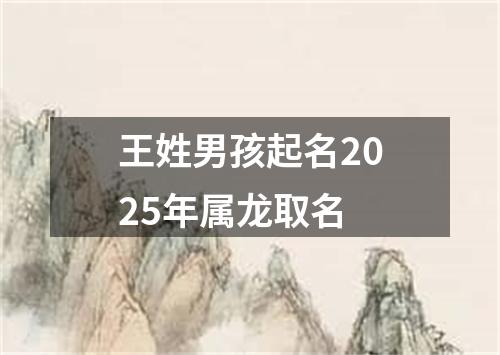 王姓男孩起名2025年属龙取名