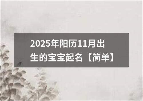 2025年阳历11月出生的宝宝起名【简单】