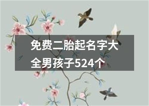 免费二胎起名字大全男孩子524个