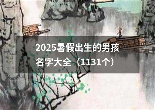 2025暑假出生的男孩名字大全（1131个）