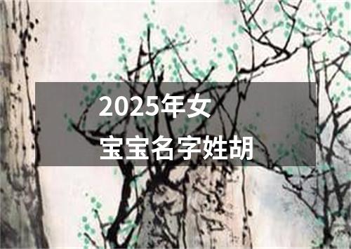 2025年女宝宝名字姓胡