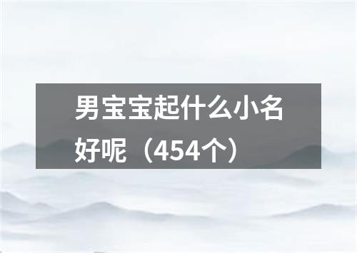 男宝宝起什么小名好呢(454个)