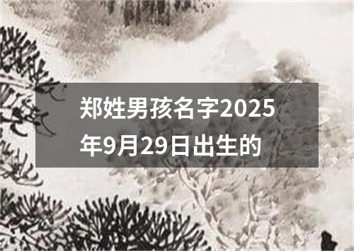 郑姓男孩名字2025年9月29日出生的