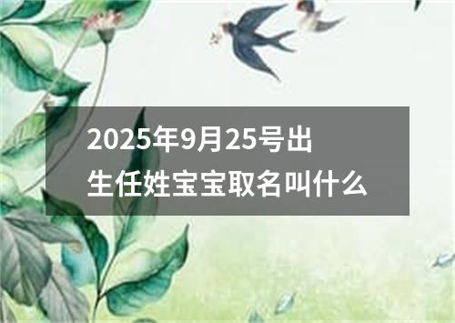 2025年9月25号出生任姓宝宝取名叫什么