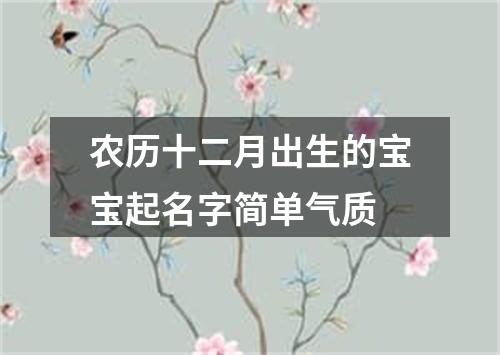 农历十二月出生的宝宝起名字简单气质