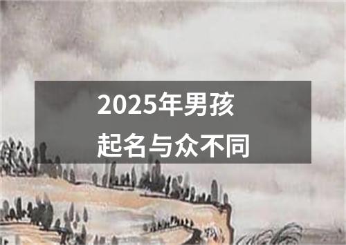 2025年男孩起名与众不同