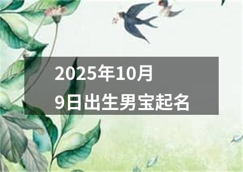 2025年10月9日出生男宝起名