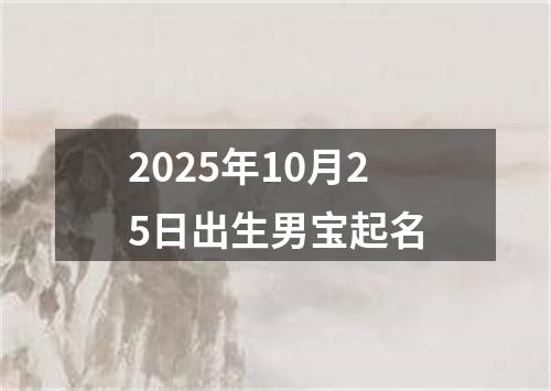 2025年10月25日出生男宝起名