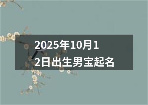 2025年10月12日出生男宝起名