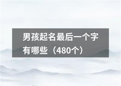 男孩起名最后一个字有哪些(480个)