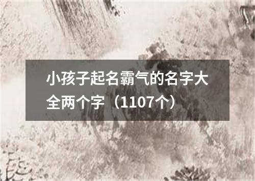 小孩子起名霸气的名字大全两个字(1107个)
