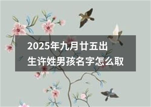 2025年九月廿五出生许姓男孩名字怎么取