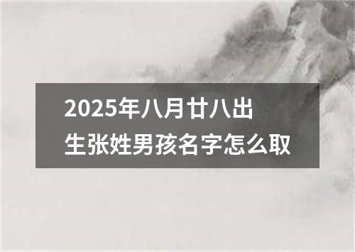 2025年八月廿八出生张姓男孩名字怎么取