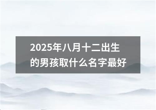 2025年八月十二出生的男孩取什么名字最好