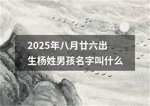 2025年八月廿六出生杨姓男孩名字叫什么