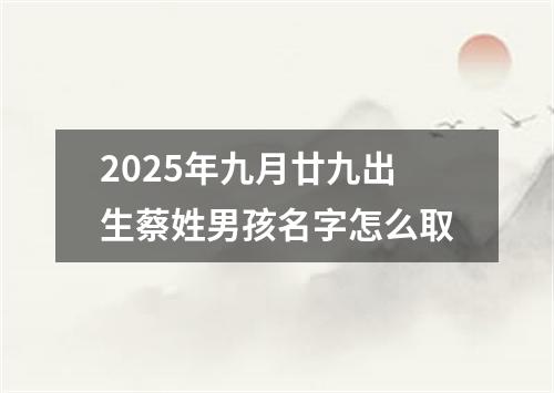 2025年九月廿九出生蔡姓男孩名字怎么取
