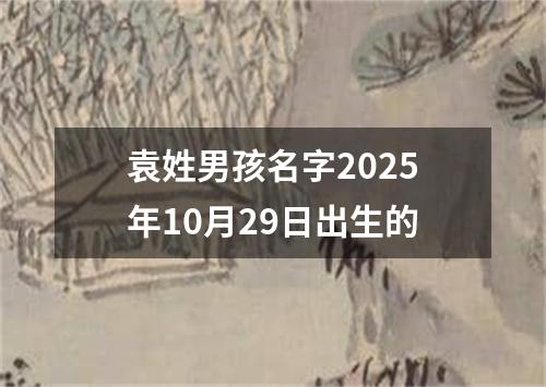 袁姓男孩名字2025年10月29日出生的