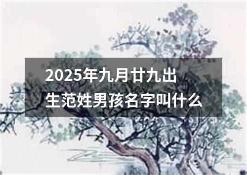 2025年九月廿九出生范姓男孩名字叫什么